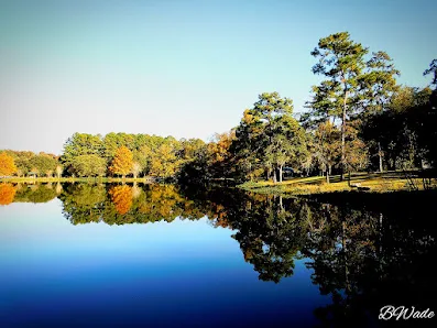 Tom Brown Park photo 4