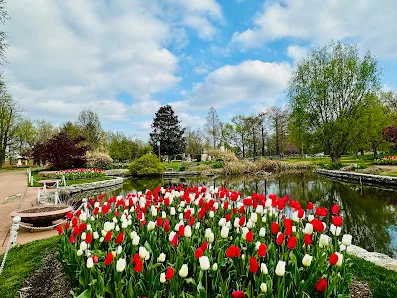 Tower Grove Park — image 6