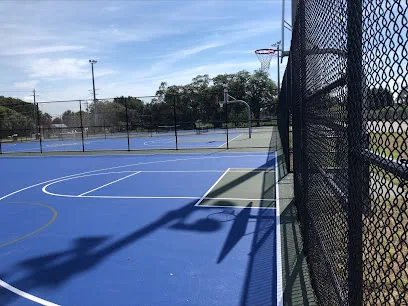 Town 'N Country Park Pickleball Courts