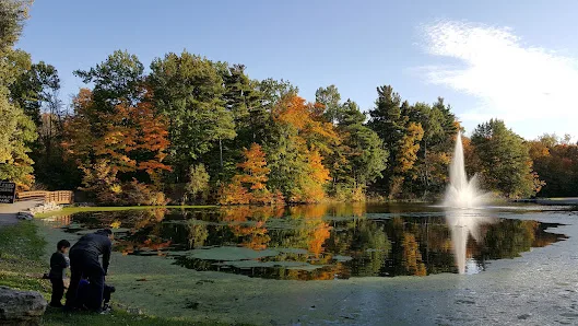 Town Place Park- Clarence Town Park photo 4