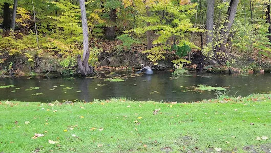Town Place Park- Clarence Town Park — image 6