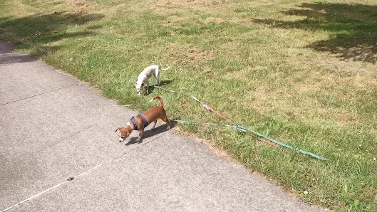 Woodmansee Park photo 2